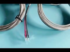 3 wire stainless steel probe high temperature thermocouple RTD sensores PT 100